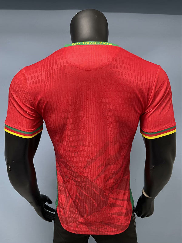 Cameroun Maillot Extérieur 25/26