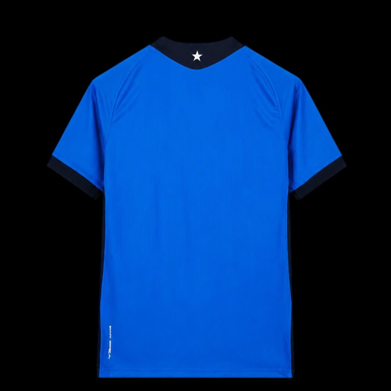 Botafogo Maillot Gardien Blue 26/27