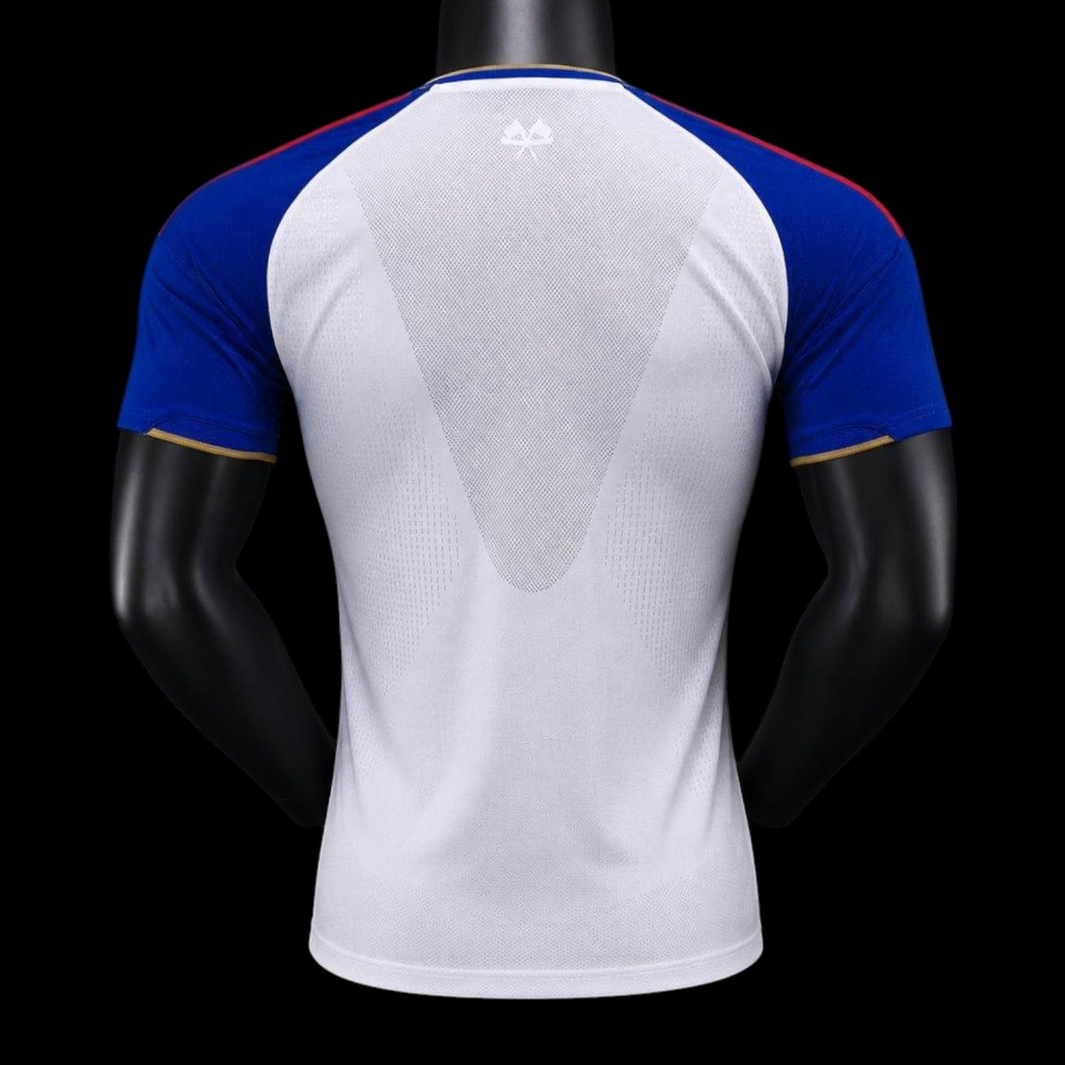 Lyon Maillot Domicile 26/27 – Version Player