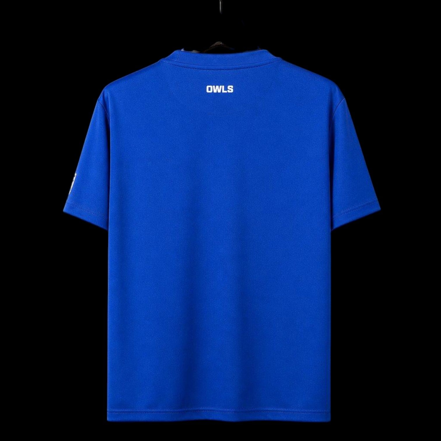 Sheffield Wednesday Maillot Gardien 26/27