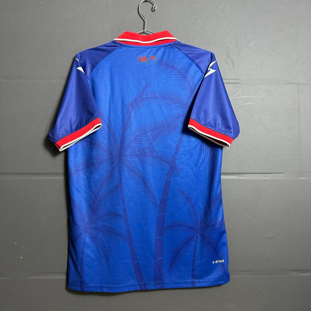 Haiti Maillot Domicile 2026