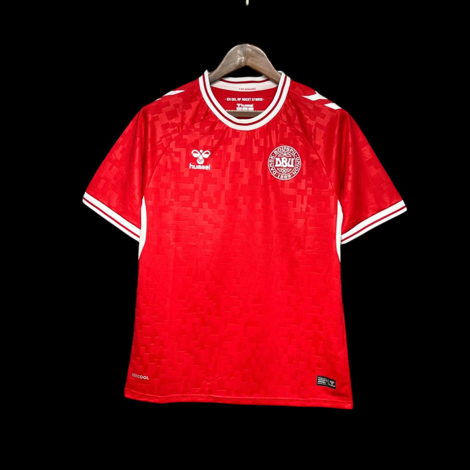 Danemark Maillot Domicile 24/25