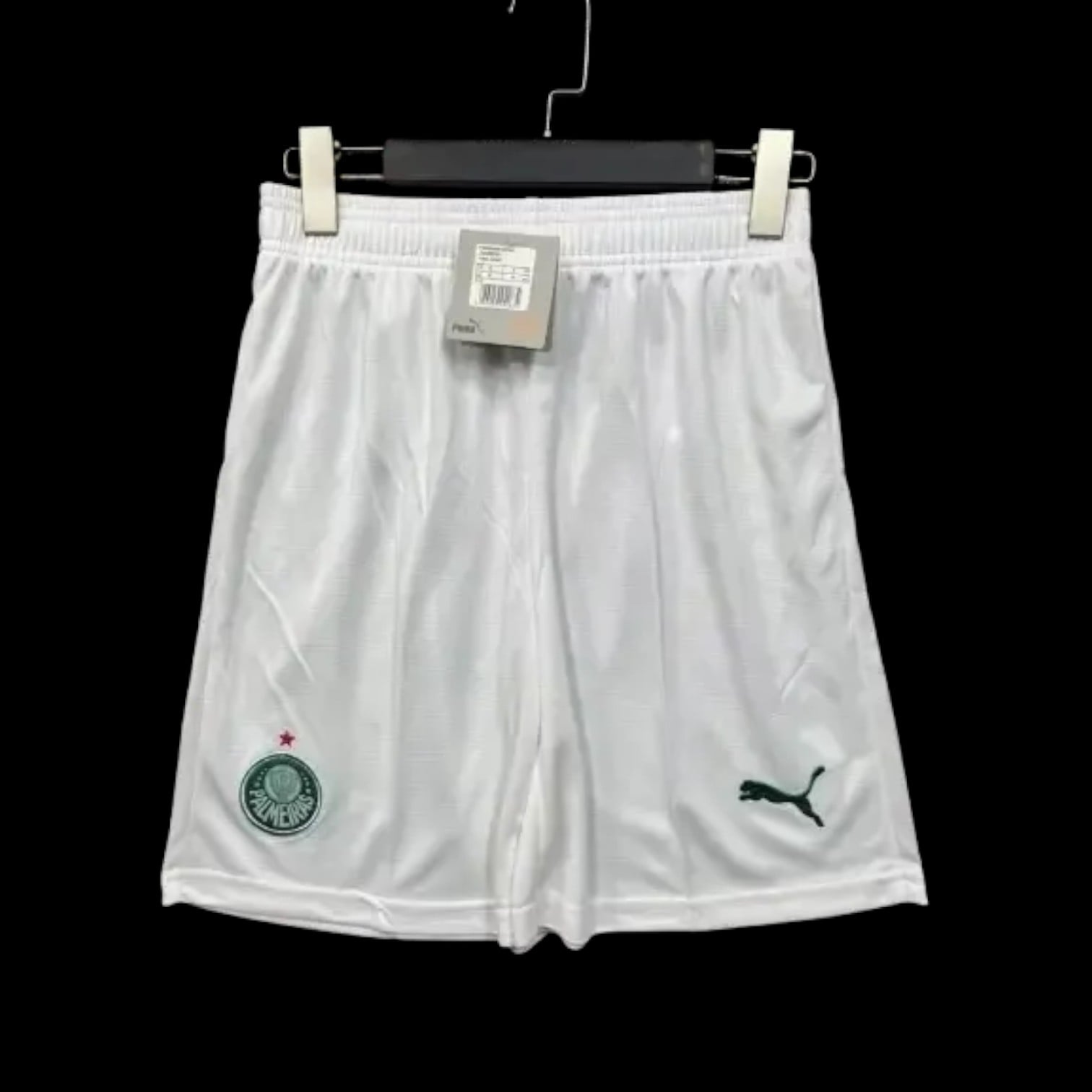 Palmeiras Short Domicile 26/27