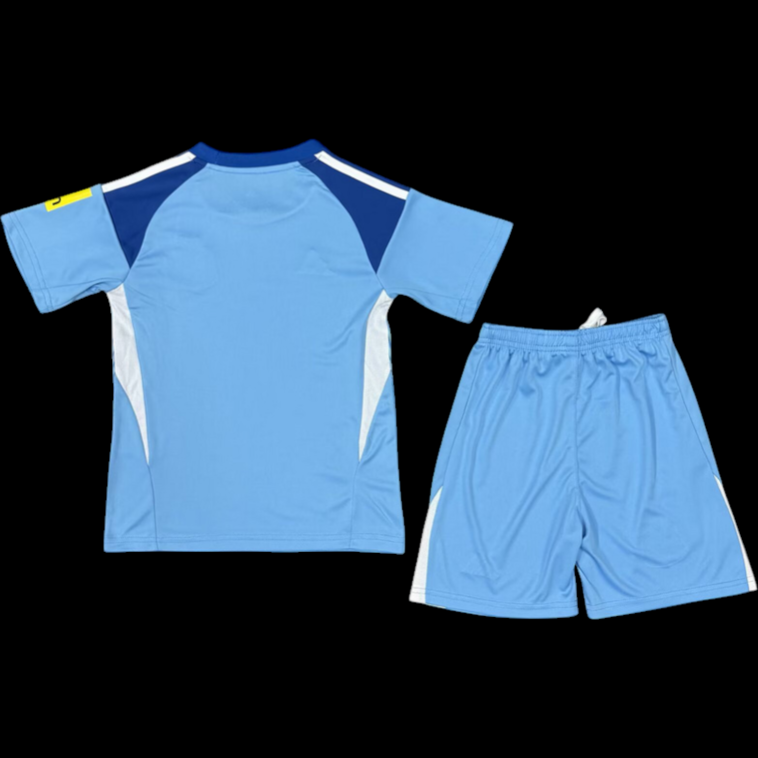 Newcastle Maillot Gardien Blue 25/26 – Enfant