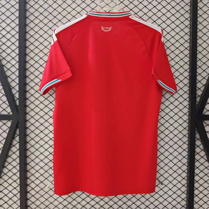 Pays de Galles Maillot Domicile 25/26