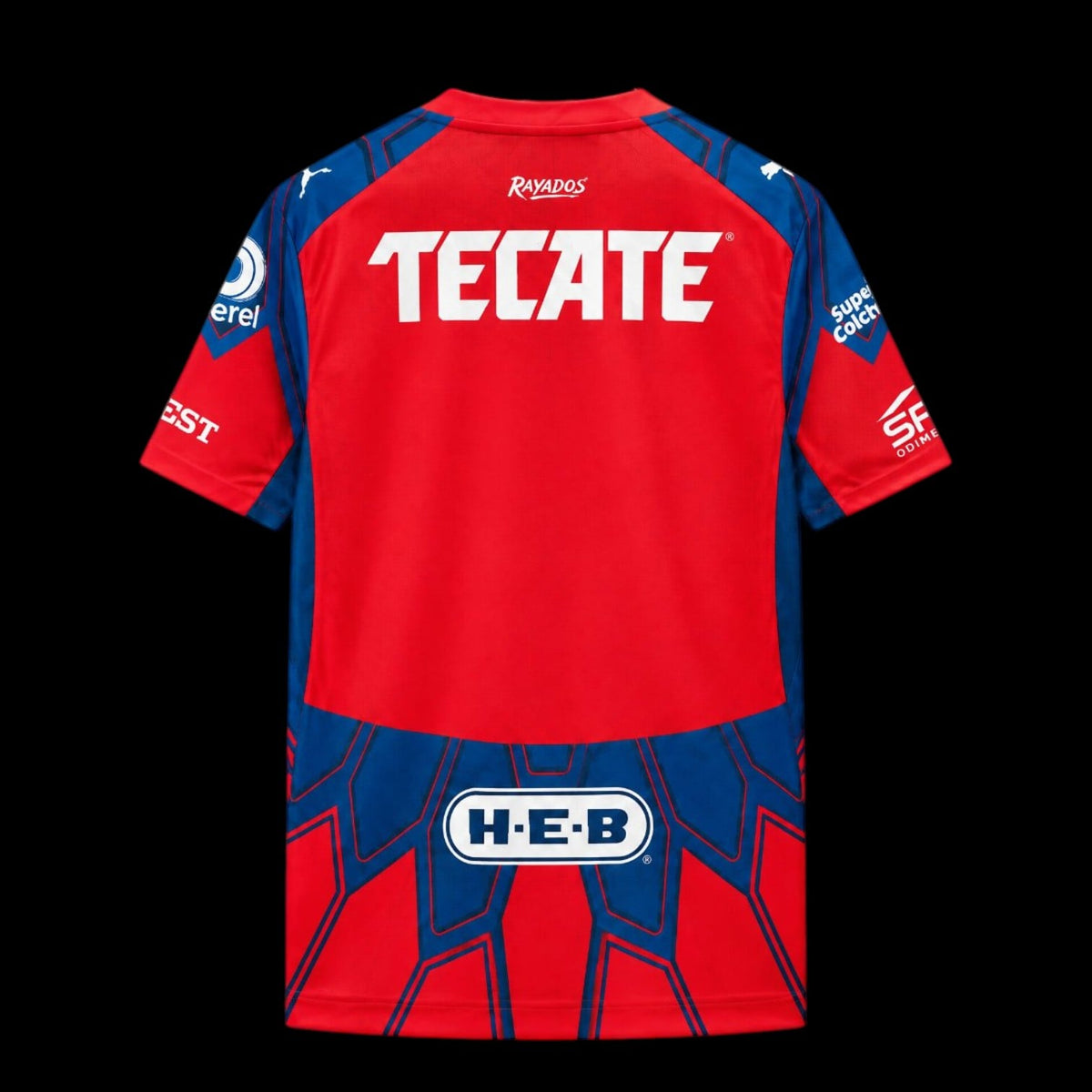 Monterrey Maillot Gardien 26/27 – photo 2