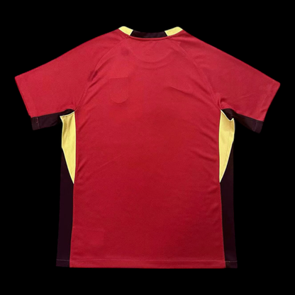Chine Maillot Domicile 25/26