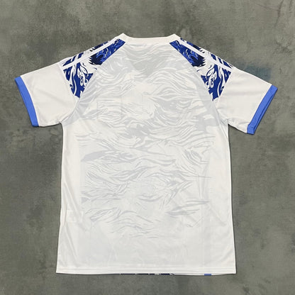 Japon Maillot Spécial Blue Dragon Q 25/26