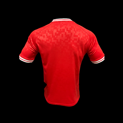 Danemark Maillot Domicile 24/25 – Version Player