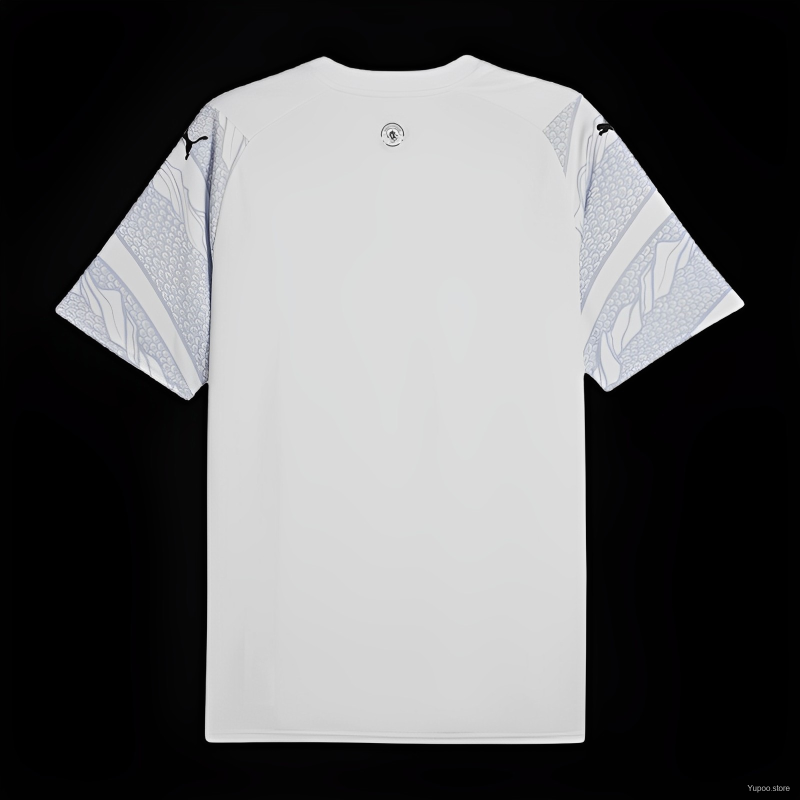 Manchester City Maillot Dragon 24/25