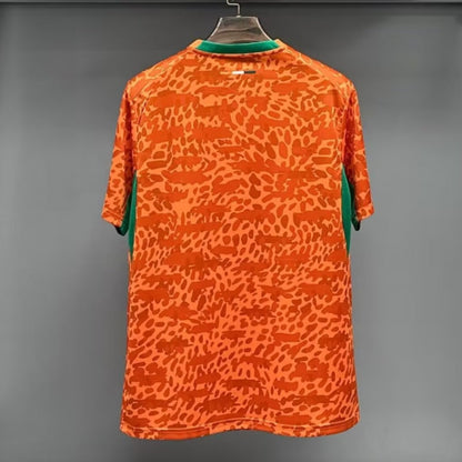Côte d'Ivoire Maillot Spécial 25/26