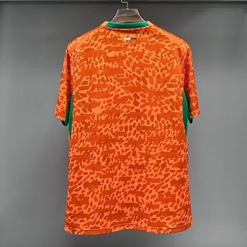 Côte d'Ivoire Maillot Spécial 25/26