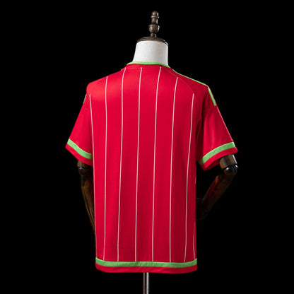 Pays de Galles Maillot Rétro 15/16